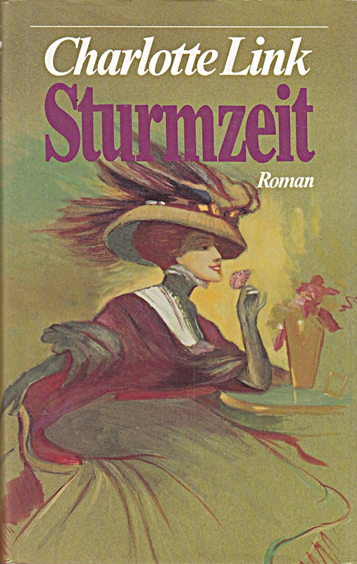 Sturmzeit [Gebundene Ausgabe]