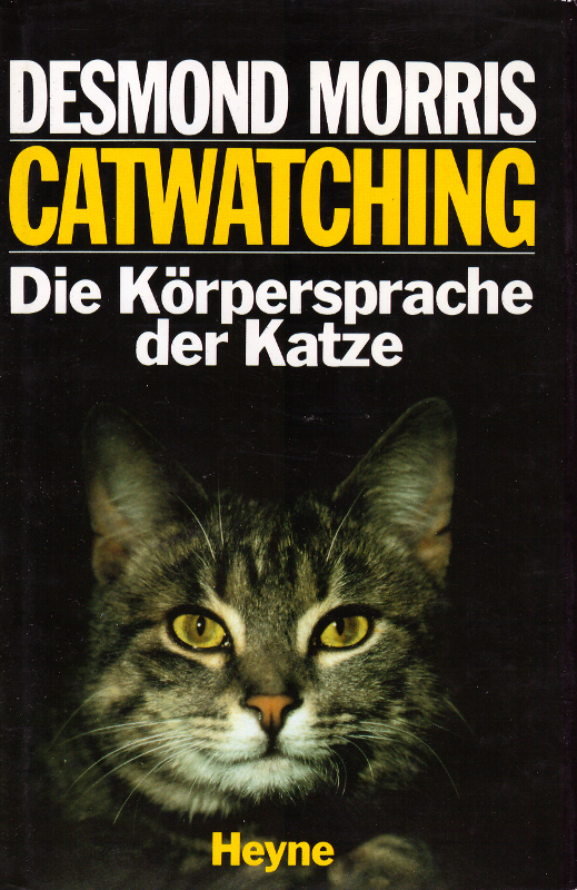 Catwatching: Die Körpersprache der Katze